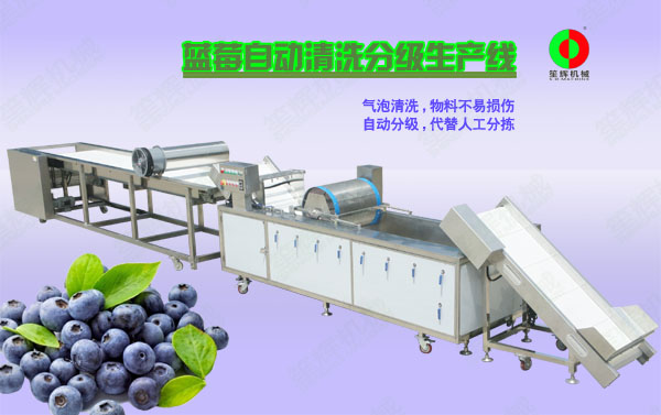 鄂城蓝莓/蔬果全自动清洗分级生产线